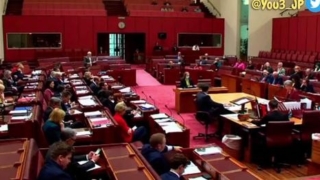 Thumbnail of post image 043