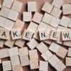 fake, news, media, disinformation, press, politics, brown news, brown media, brown new, fake, fake, fake, fake, fake, disinformation, disinformation, disinformation