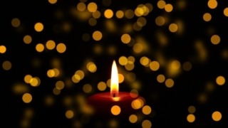Thumbnail of new posts 041