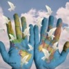 world, peace, continents, earth, hope, love peace, doves of peace, world peace, dove, peace sign, symbol, peaceful, peace, hope, hope, hope, hope, hope, world peace, world peace, dove