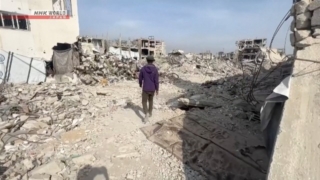 Thumbnail of new posts 169