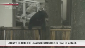 【毎日1分!時事英語 from NHK World】Japan's bear crisis leaves communities in fear of attack 日本のクマ危機、地域社会に襲撃の恐怖を植え付ける messageImage_1762644167856