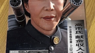 Thumbnail of new posts 055