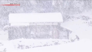 Thumbnail of new posts 192