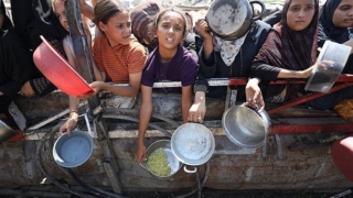 Thumbnail of new posts 105