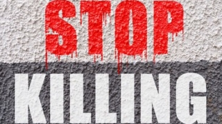 Thumbnail of new posts 004