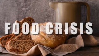 Thumbnail of new posts 153