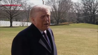 Thumbnail of new posts 103