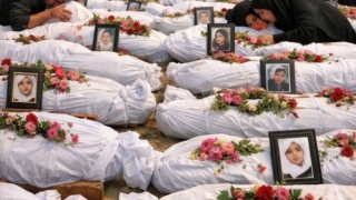 Thumbnail of new posts 008